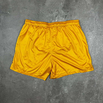 Vintage Nike Shorts (XL)